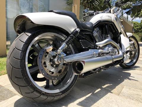 Harley davidsom VRod 1250 c impecável - 2014