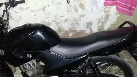 Vendo facto no Precinho - 2011