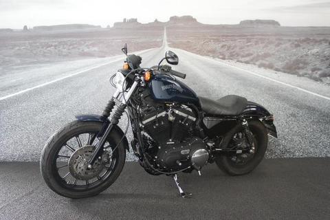 Harley-davidson Xl 883 N iron 2013 - 2013