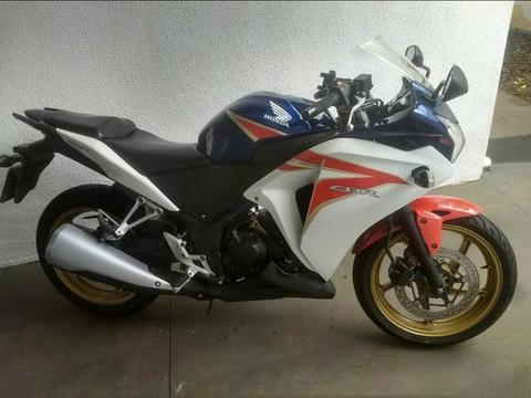 CBR 250R só vendo - 2012