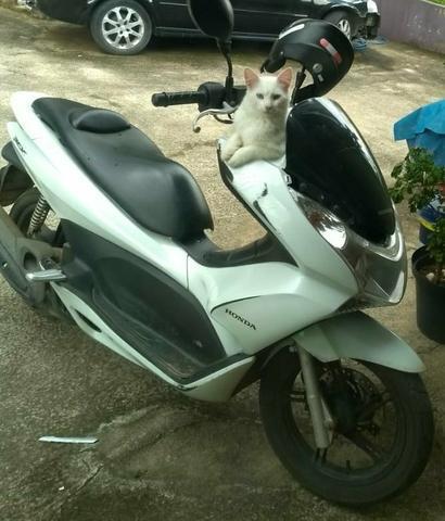 Vendo PCX 2015 - 2015