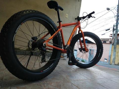 Fat bike