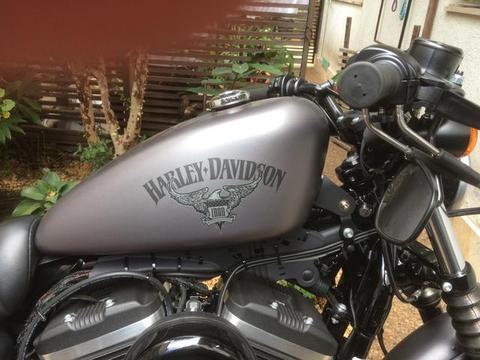 Harley 883 Iron 2016 - 2016
