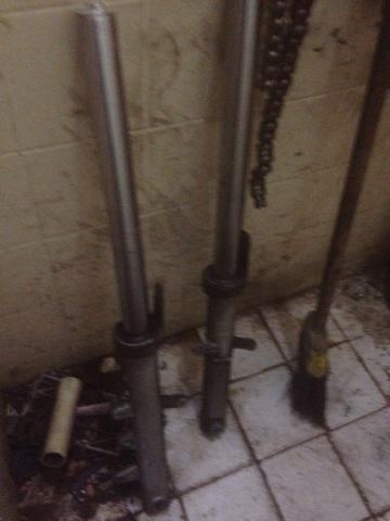 Canelas da fazer 2007