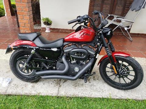Oportunidade! Harley-davidson XL 883 Iron 12/12 Baico Km - 2012