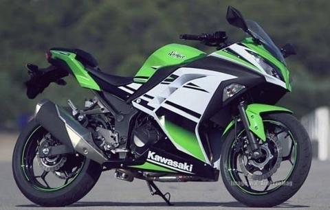 Ninja 300 edição especial 30 anos - 2015