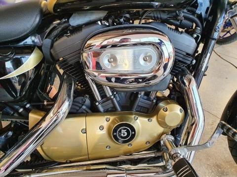 Moto Harley Davidson XL 883 - 2007