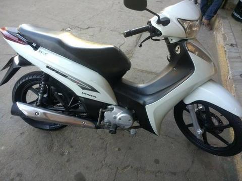 Excelente procedência - 2013