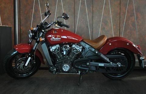 Indian Scout - 2015