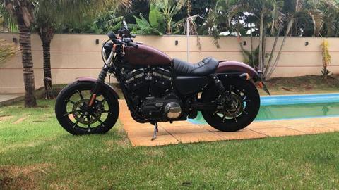 Harley 883 - 2017