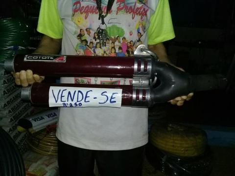 Coiote original cb300 e twister