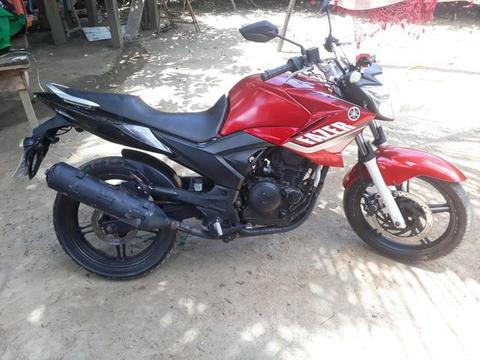 Fazer 250cc 2011 pra interior ou sai da pernada - 2011