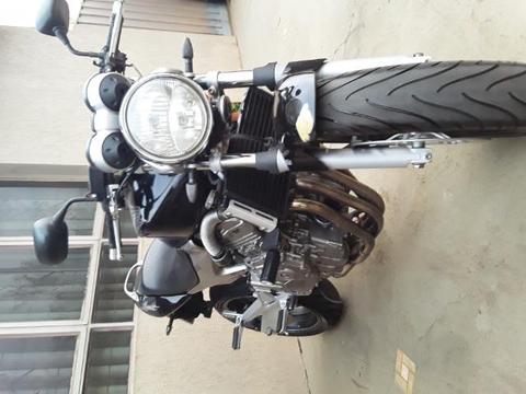 Hornet para exigentes - 2006